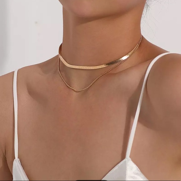 ⚜️[𝟯/$𝟭𝟴]⚜️2 Layered Silver Snake Choker NEW - Picture 3 of 10